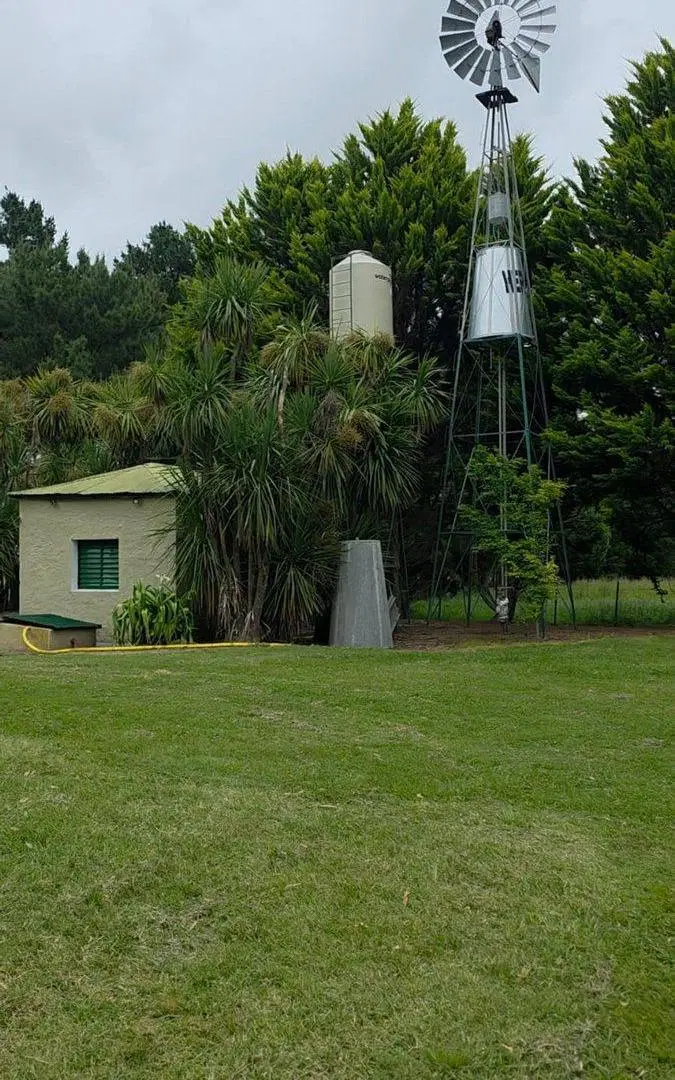CAMPO EN VENTA MONTE S/RUTA 3, 60 HECTAREAS 4