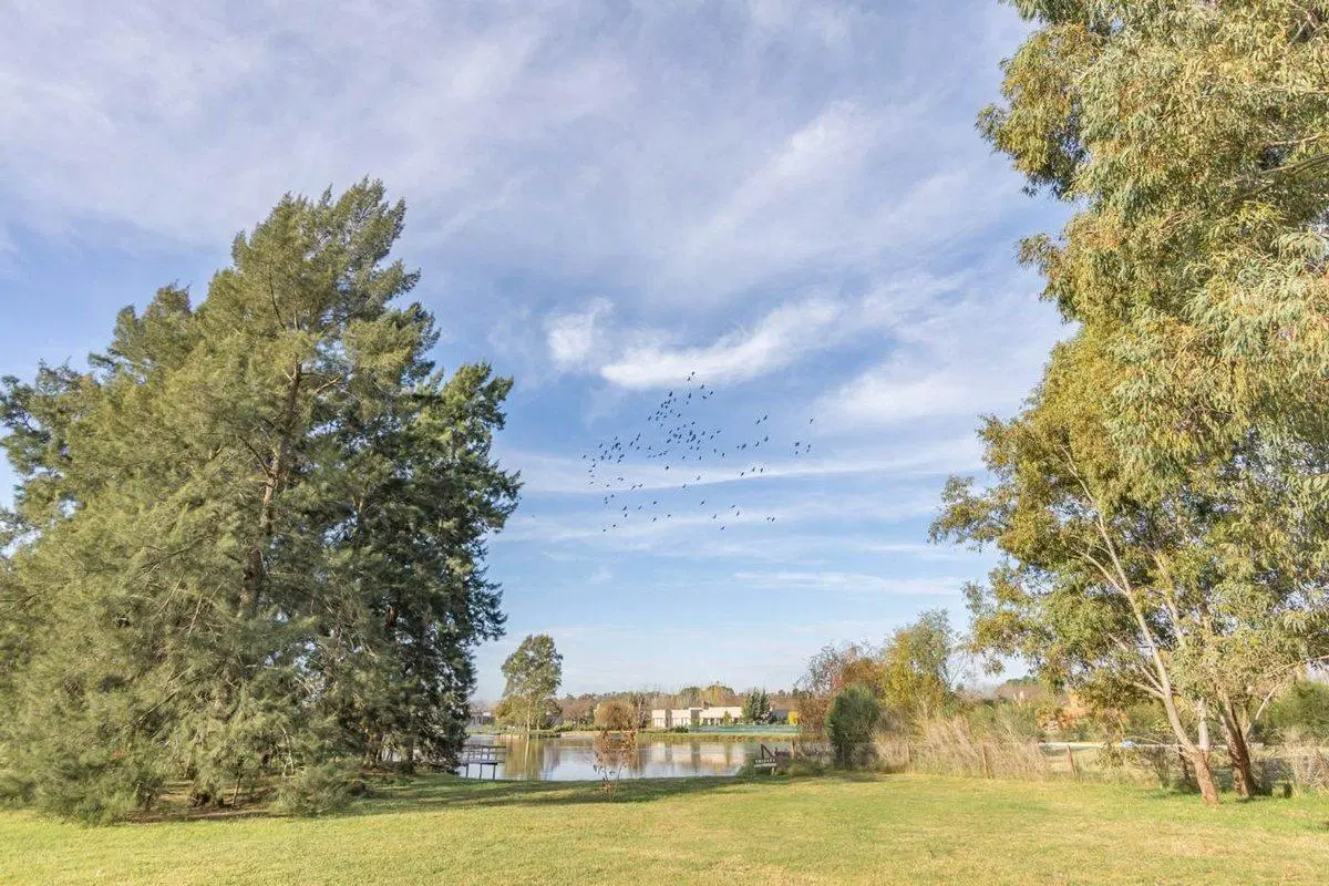 LOTE EN VENTA EN FINCAS DE SAN VICENTE A LA LAGUNA 8