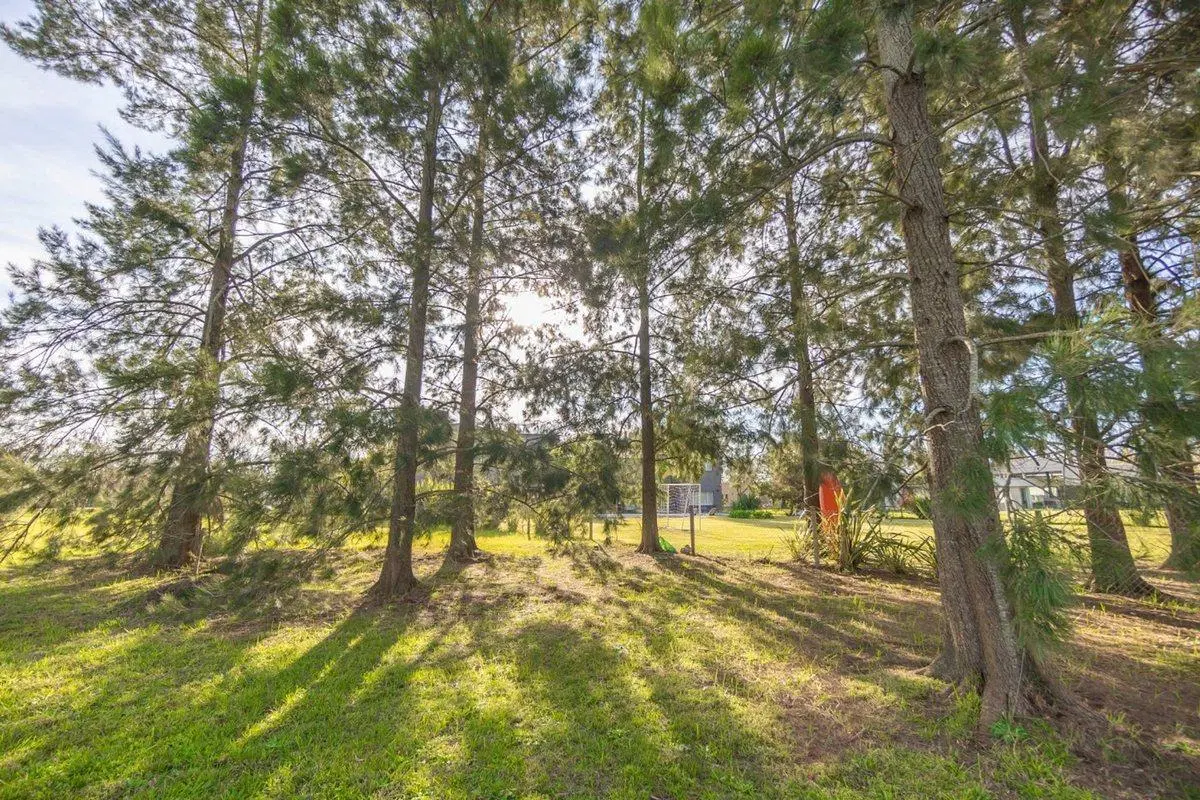 LOTE EN VENTA EN FINCAS DE SAN VICENTE A LA LAGUNA 4