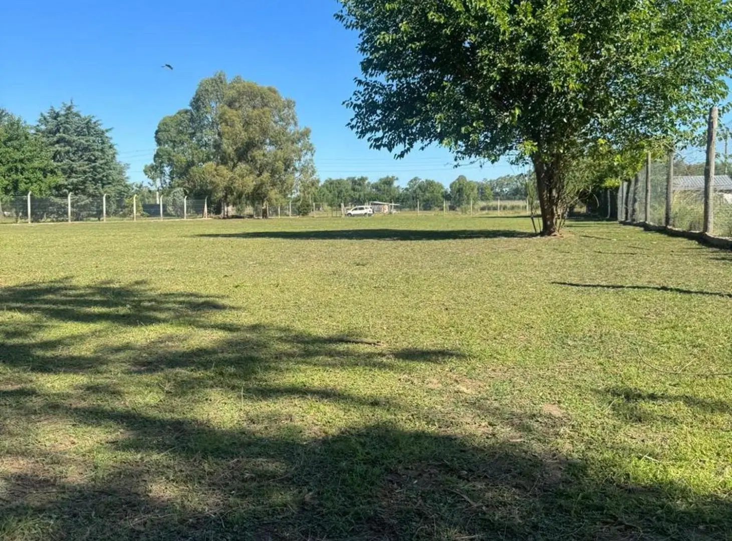 TERRENO EN VENTA C. SPEGAZZINI BARRIO LAS LOMAS 5