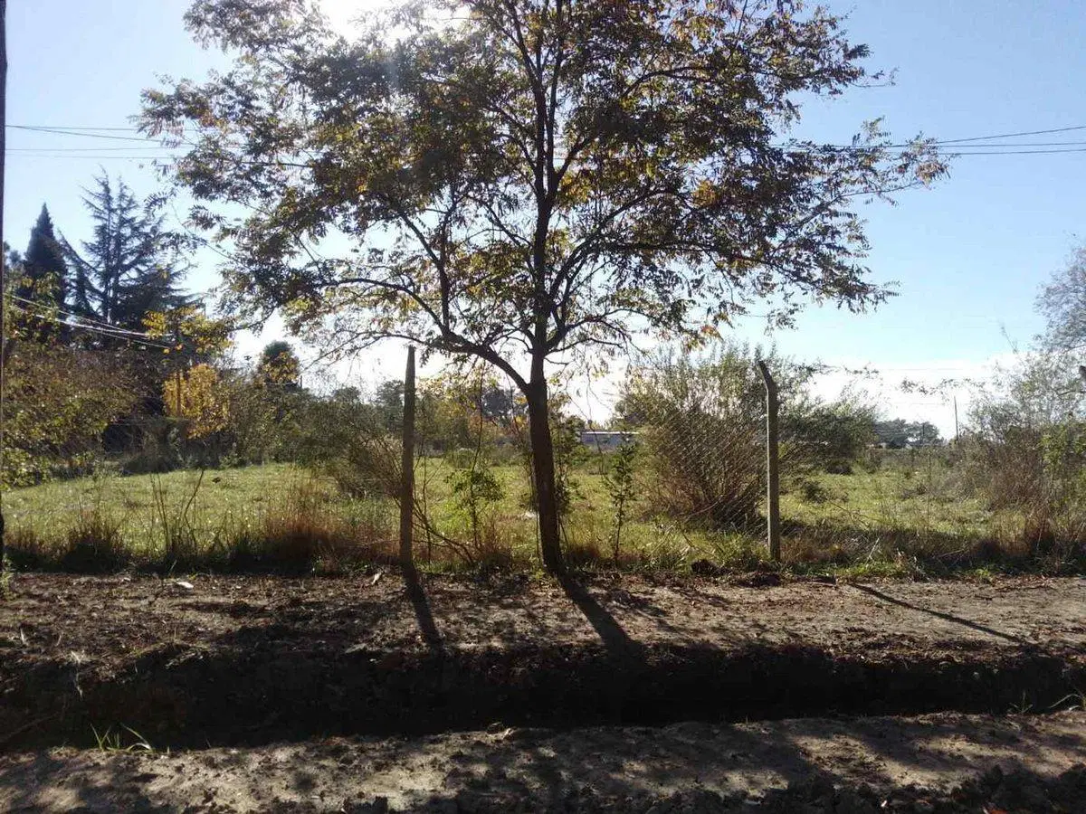LOTE EN VENTA BRANDSEN CON ESCRITURA ZONA NATURAL 2