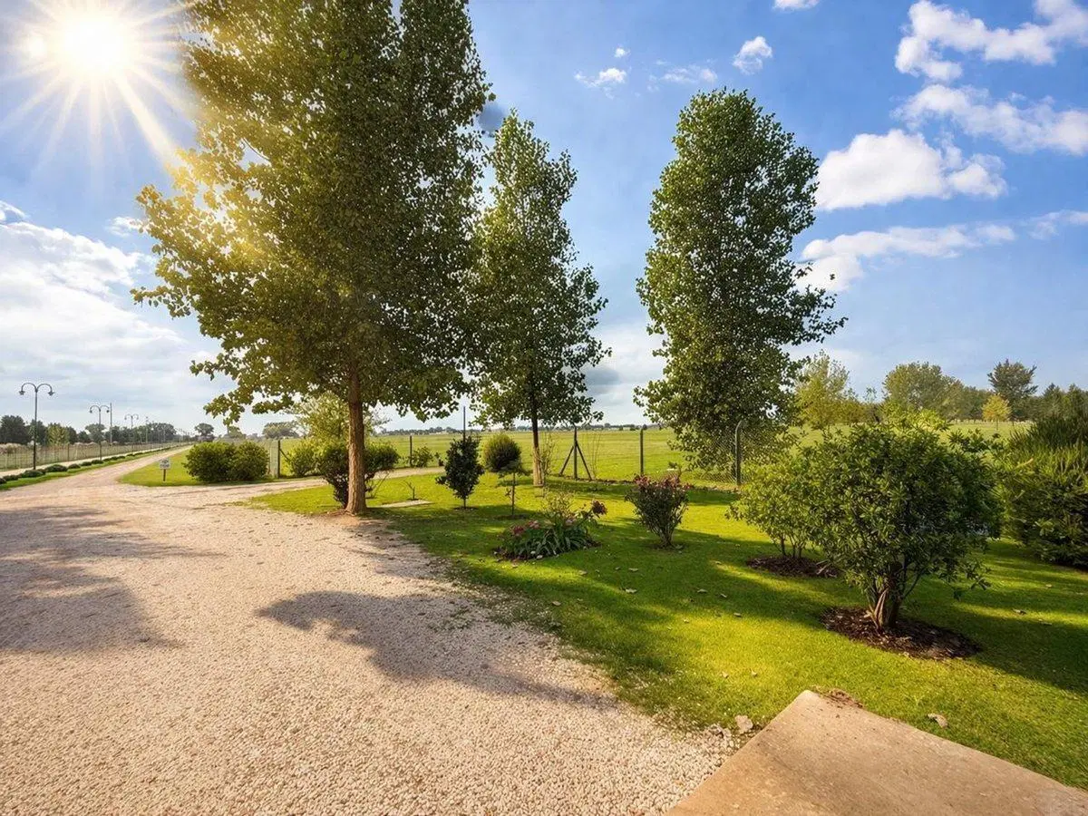 LOTE EN VENTA FINCAS JOVEN SAN VICENTE FINANCIADO 3