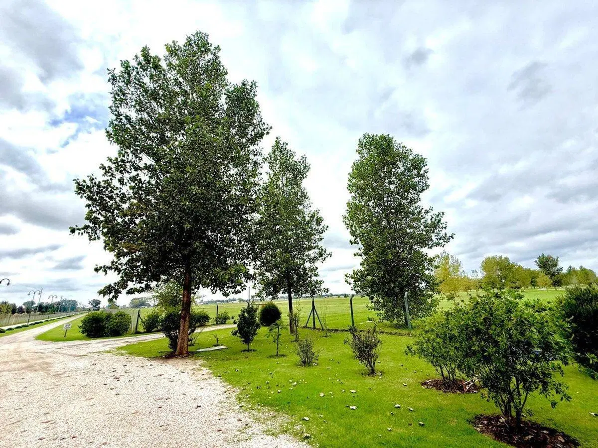 LOTE EN VENTA FINCAS JOVEN SAN VICENTE FINANCIADO 2