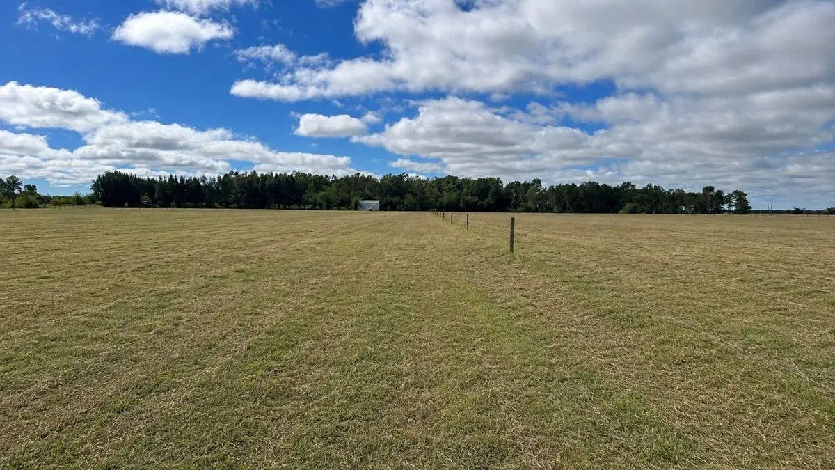 CAMPO EN VENTA SAN MIGUEL DEL MONTE SOBRE RN 41 1