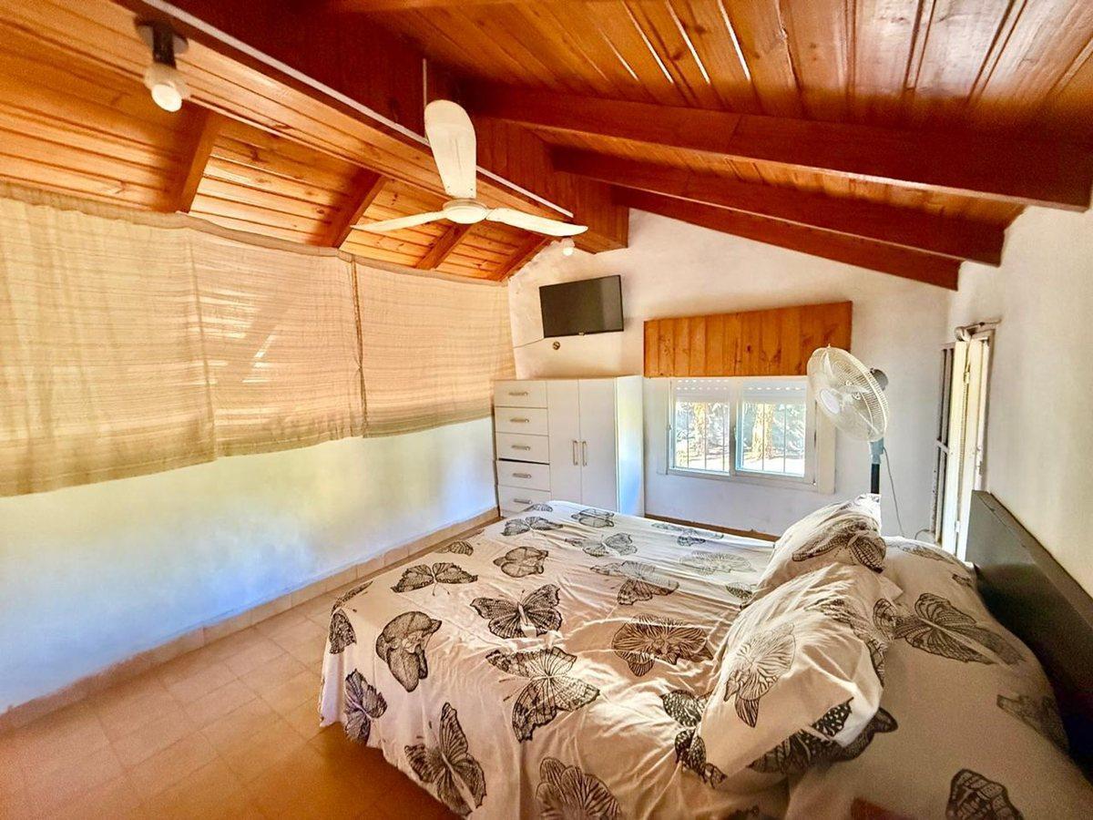Foto de VENTA DE CASA CON PISCINA EN SAN MIGUEL DEL MONTE, imagen 5