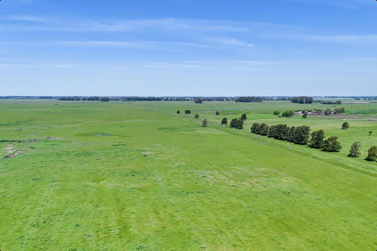 Foto de CAMPO EN VENTA FLORENCIO VARELA, 135 HECTAREAS,, imagen 3