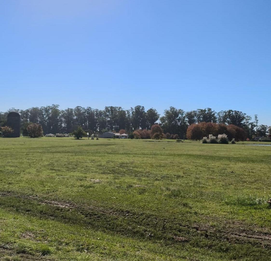 Foto de LOTE VENTA EN ESTANCIA VILLA MARIA - EZEIZA 4700m2, imagen 3