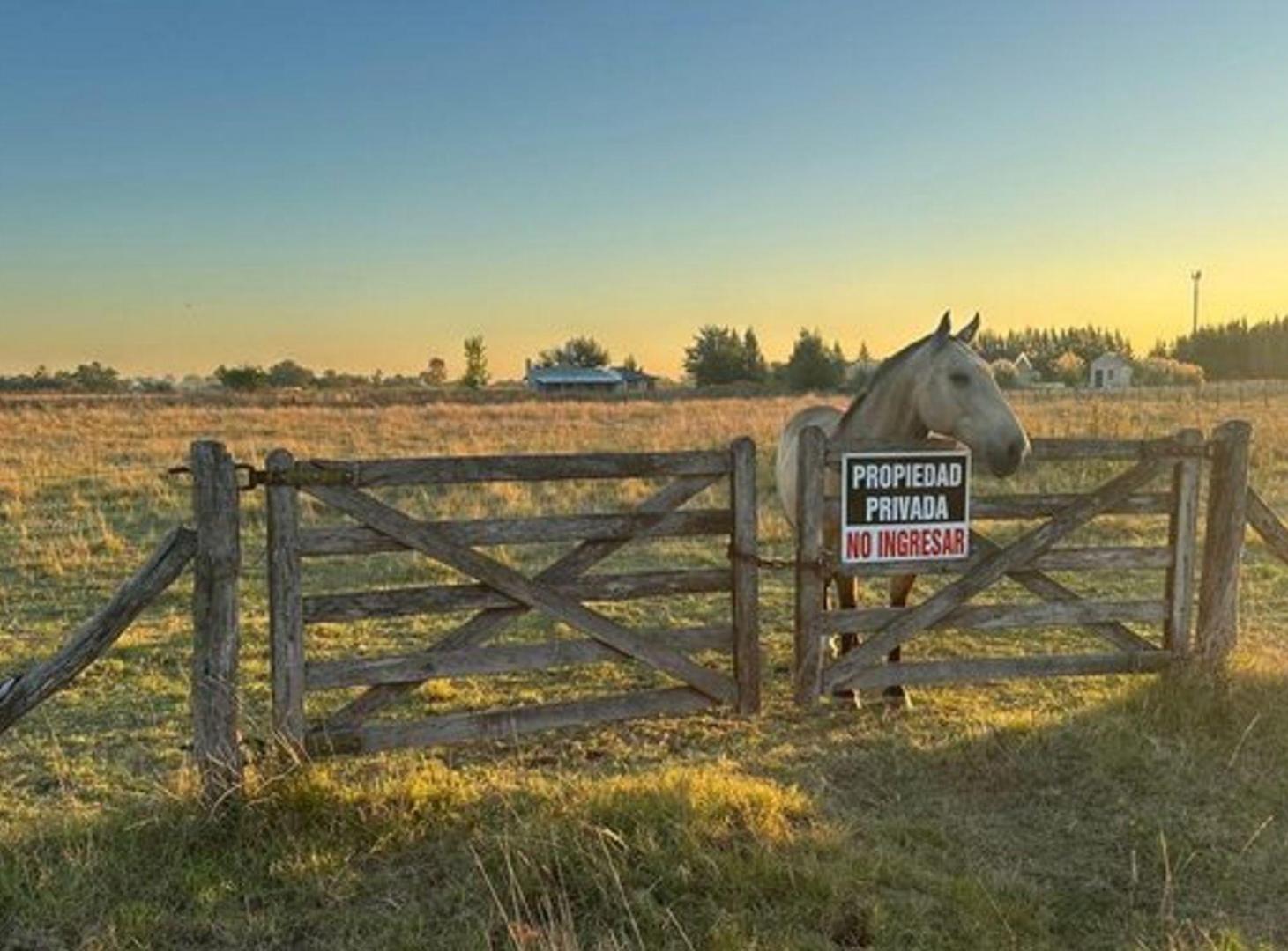 Foto de LOTE EN VENTA SAN VICENTE 5.300MTS, imagen 1
