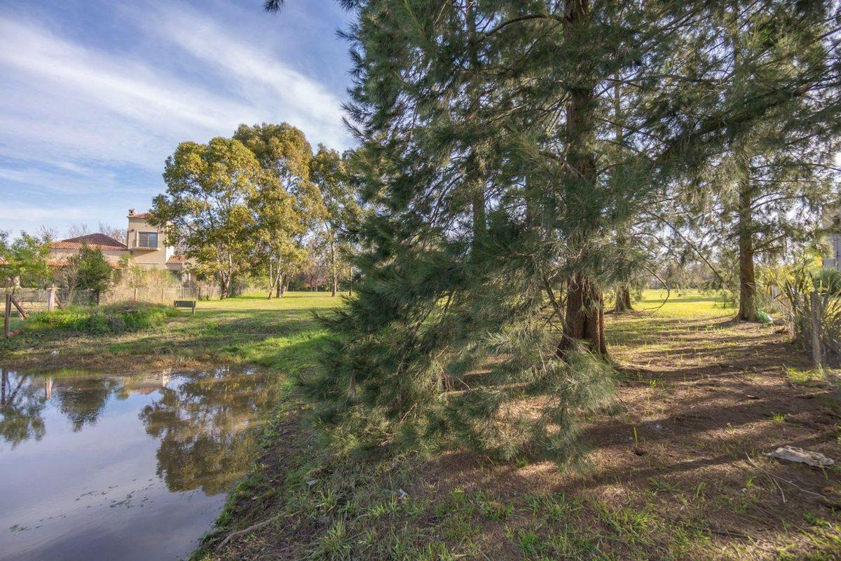 Foto de LOTE EN VENTA EN FINCAS DE SAN VICENTE A LA LAGUNA, imagen 1