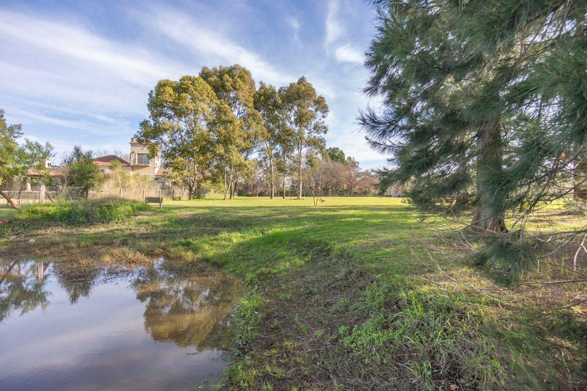 Foto de LOTE EN VENTA EN FINCAS DE SAN VICENTE A LA LAGUNA, imagen 2