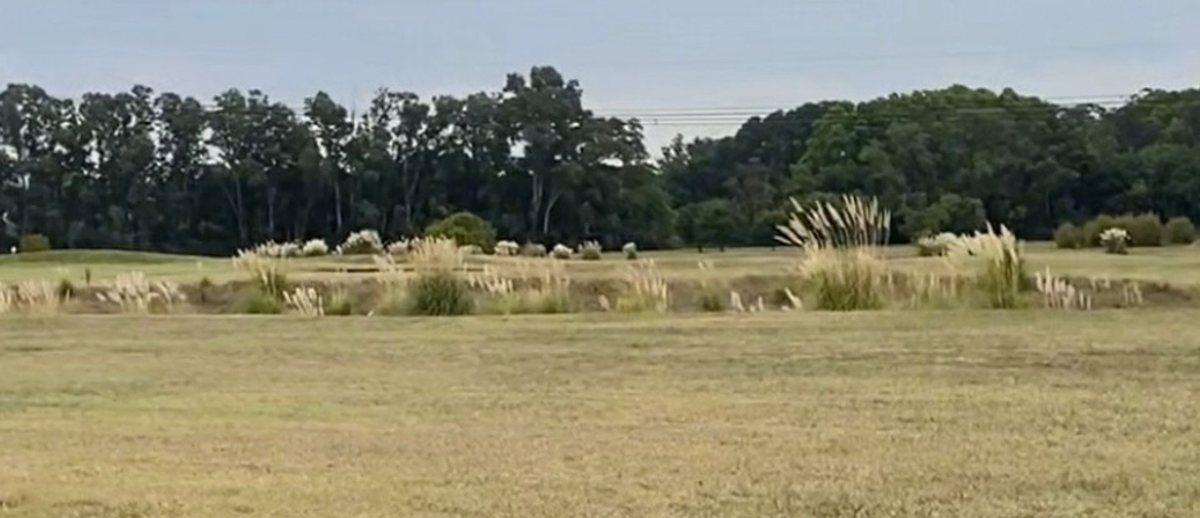 Foto de TERRENO EN VENTA ESTANCIA VILLA MARIA EZEIZA, imagen 5