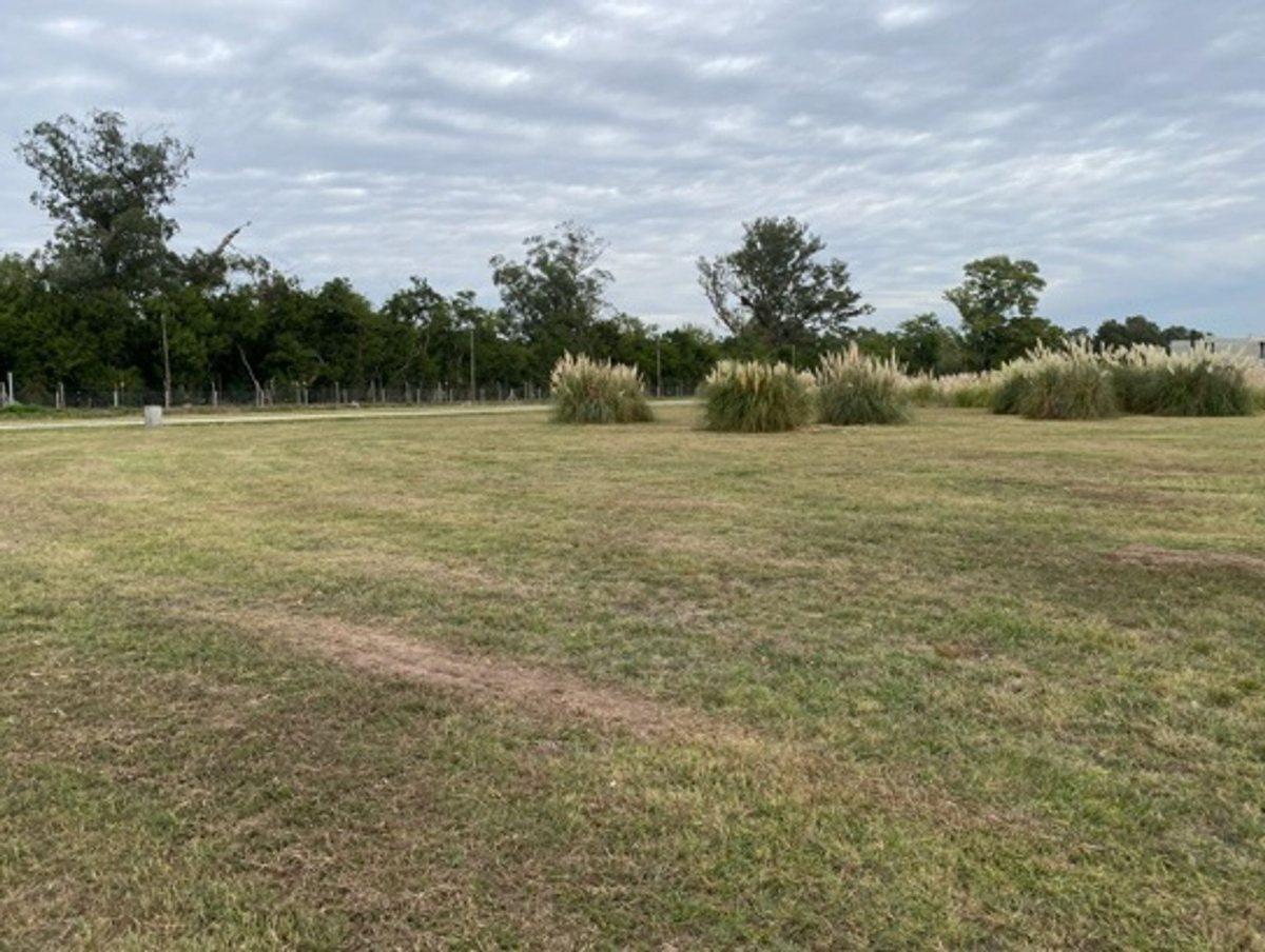 Foto de LOTE EN VENTA EN ESTANCIA VILLA MARIA, imagen 4