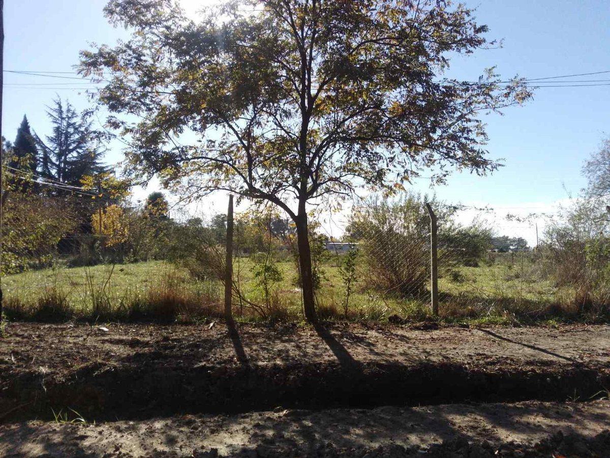 Foto de LOTE EN VENTA BRANDSEN CON ESCRITURA ZONA NATURAL, imagen 4