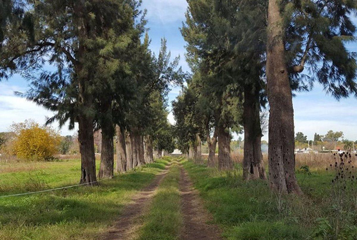 Foto de TERRENO LOTE VENTA SAINT JOSEPH LONGCHAMPS, imagen 4