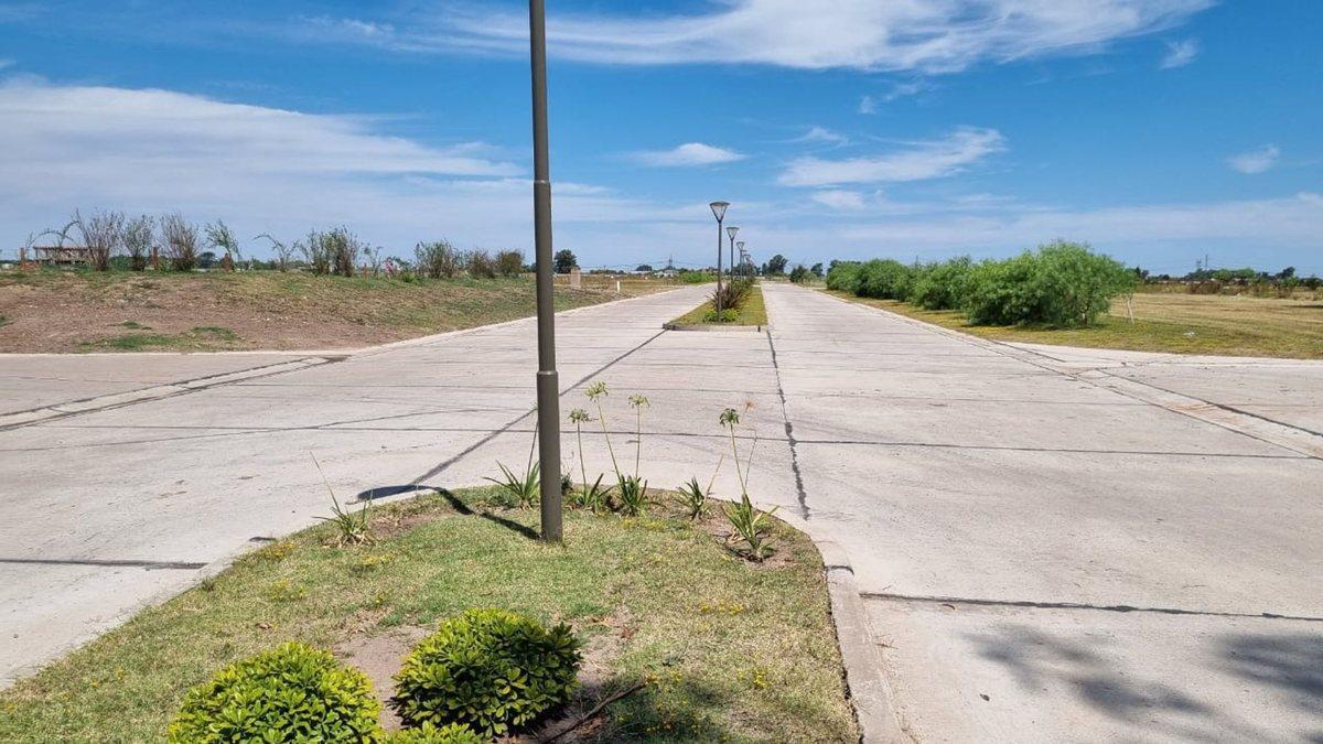 Foto de LOTE EN VENTA EN SAINT THOMAS CHICO CANNING, imagen 4