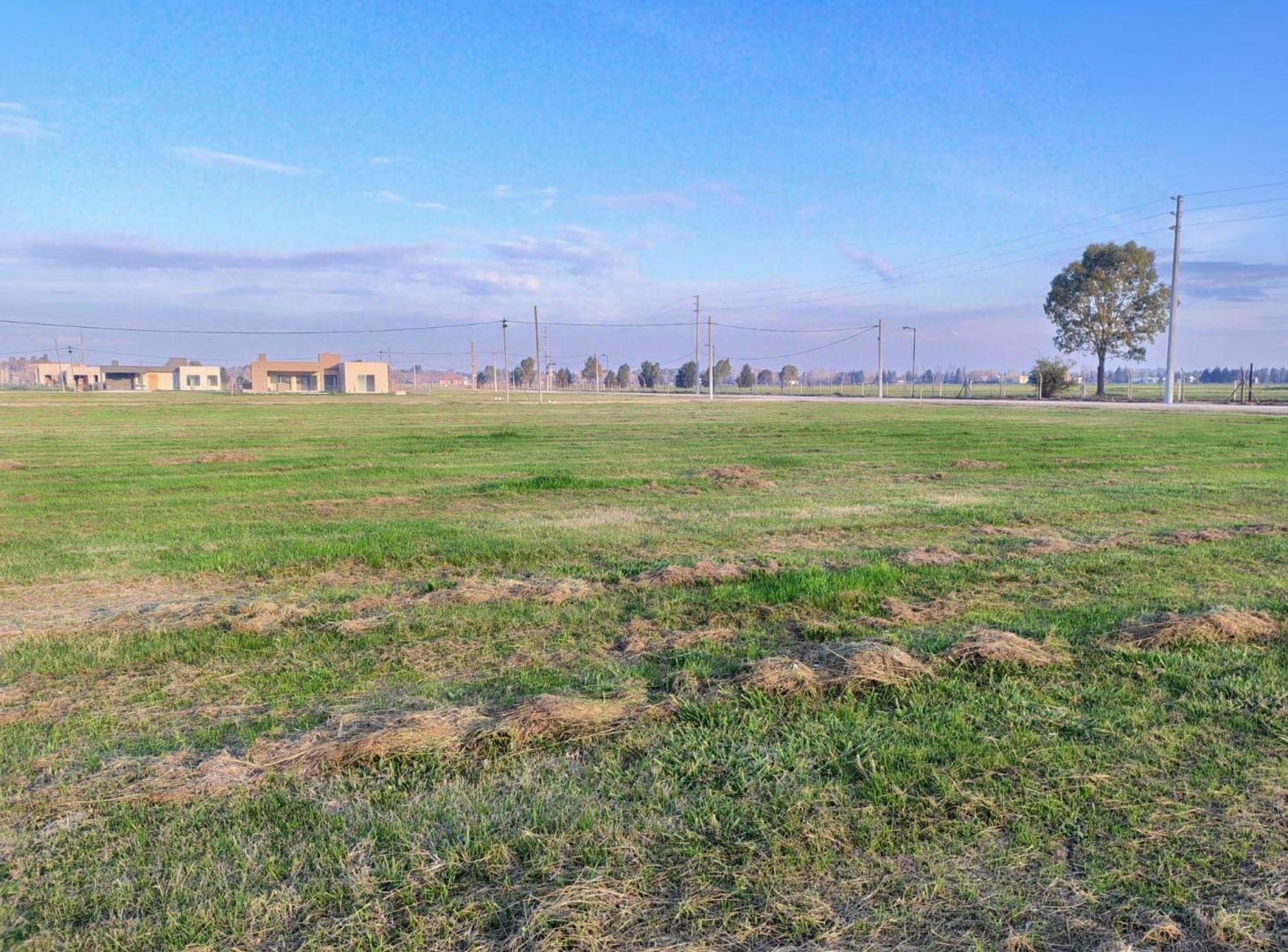 Foto de TERRENO EN VENTA SAN VICENTE FINCAS JOVEN, imagen 4