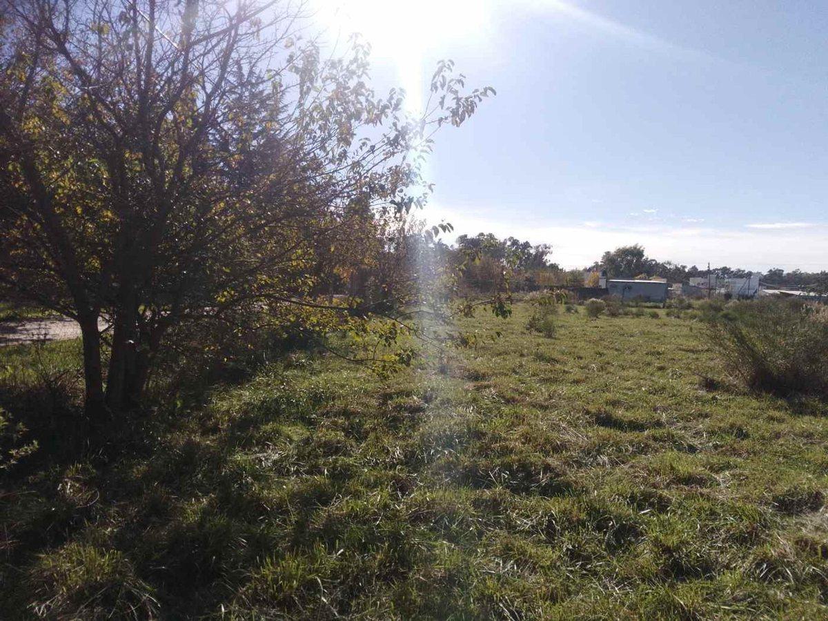 Foto de LOTE EN VENTA BRANDSEN IDEAL DESARROLLO, imagen 3