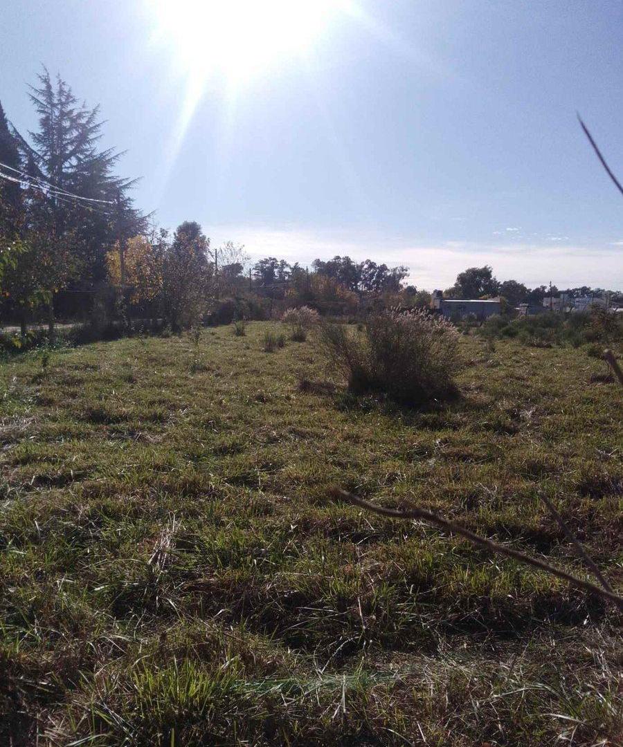 Foto de LOTE EN VENTA BRANDSEN IDEAL DESARROLLO, imagen 1