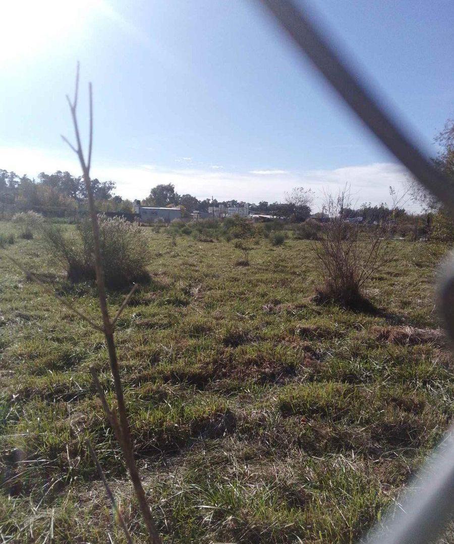 Foto de LOTE EN VENTA BRANDSEN IDEAL DESARROLLO, imagen 2