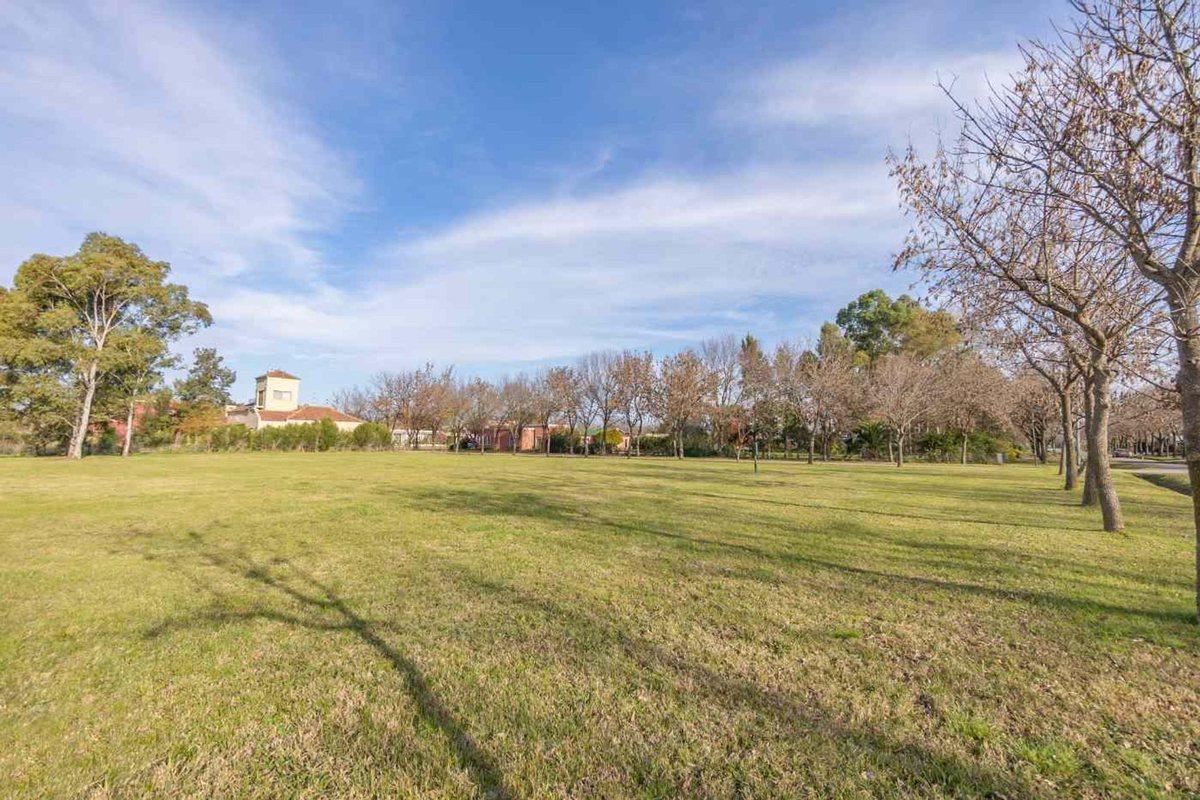 Foto de LOTE EN VENTA EN FINCAS DE SAN VICENTE A LA LAGUNA, imagen 5