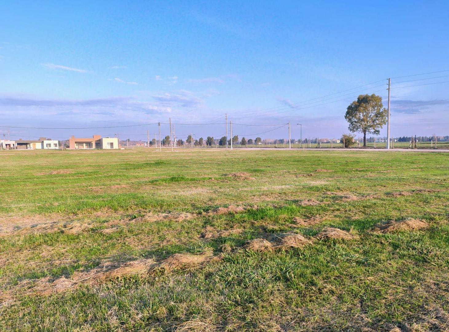 Foto de TERRENO EN VENTA SAN VICENTE FINCAS JOVEN, imagen 3