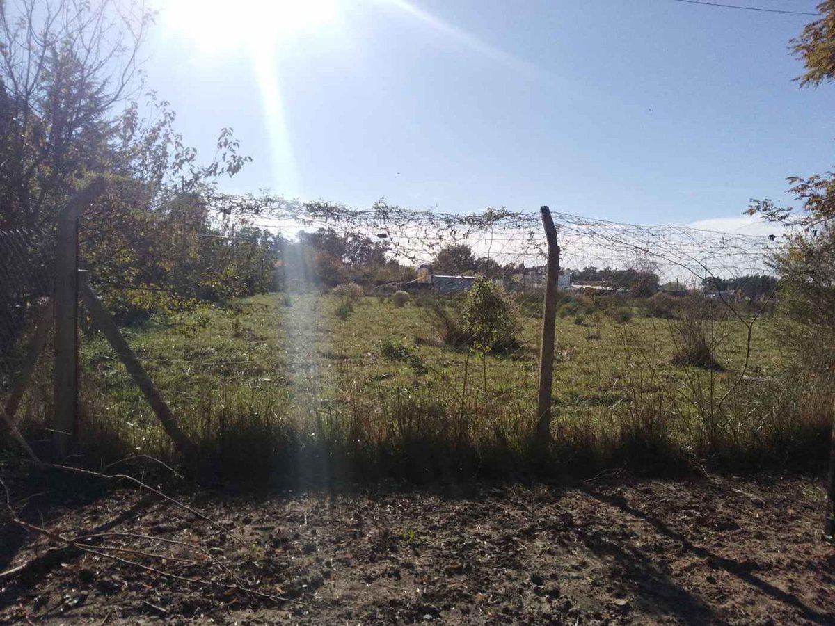 Foto de LOTE EN VENTA BRANDSEN IDEAL DESARROLLO, imagen 5