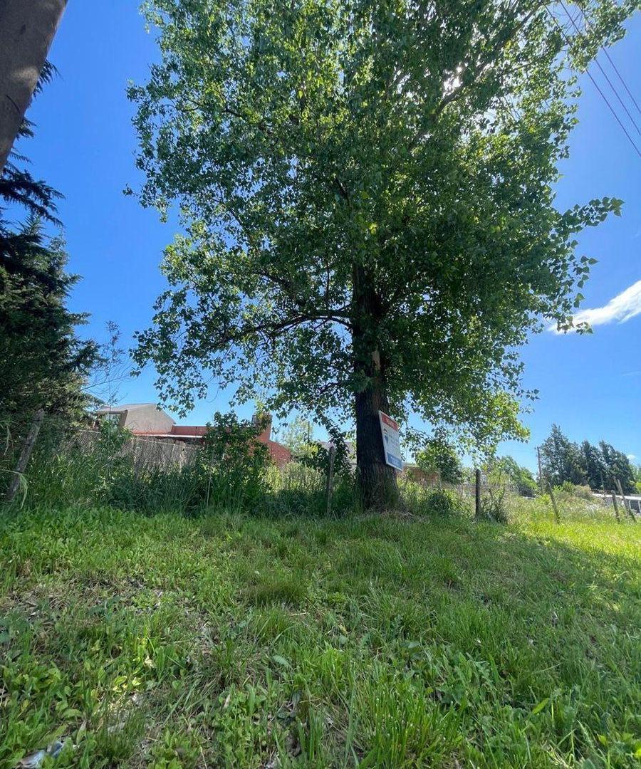 Foto de VENTA DE TERRENO EN RUTA 2/ LA PLATA, imagen 4