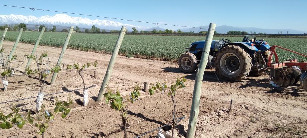Finca 30 Ha en Ugarteche Lujan de Cuyo 3