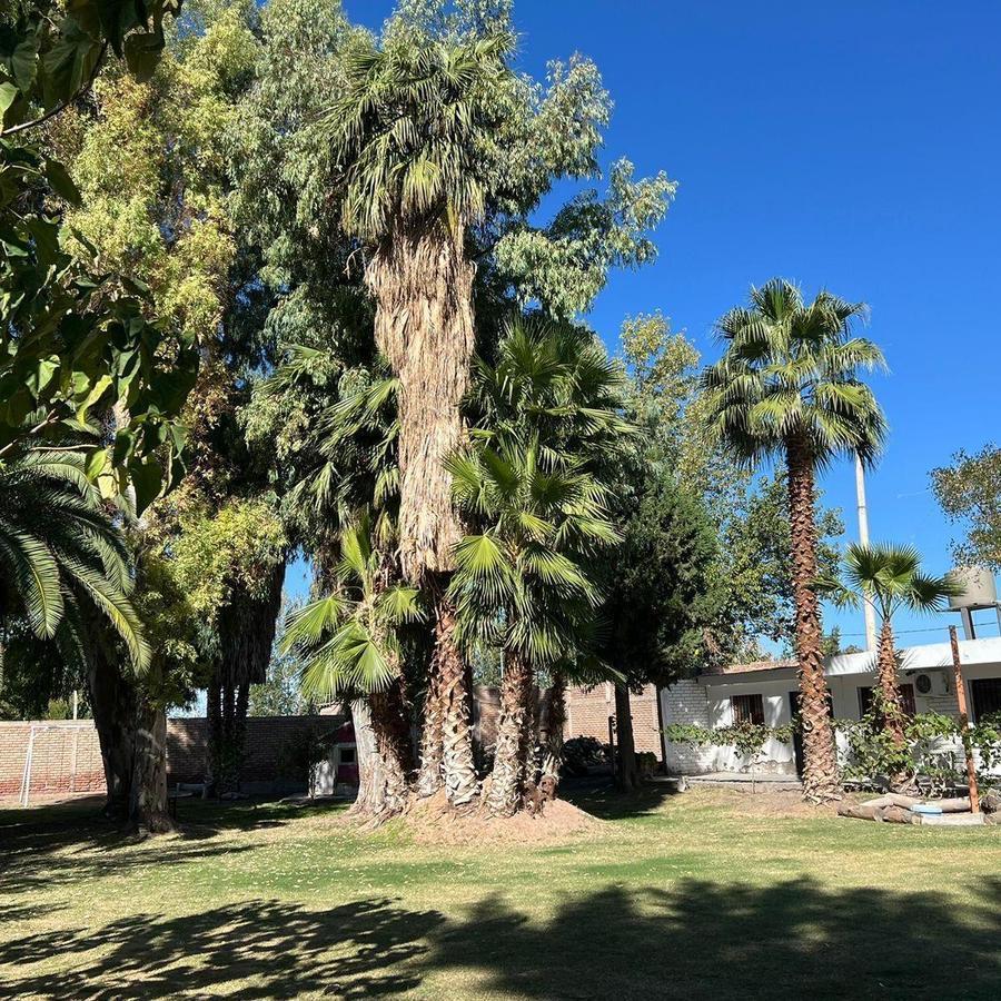 Complejo de 3 Casas Más Salón Comercial en Venta - Guaymallén 5
