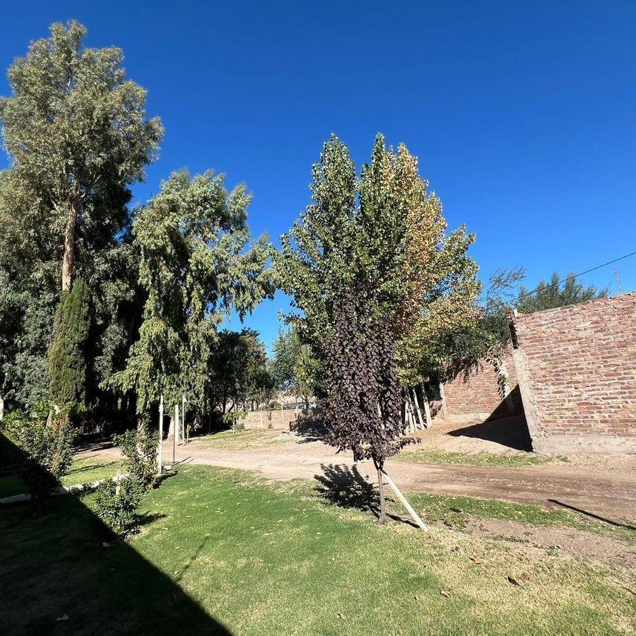 Complejo de 3 Casas Más Salón Comercial en Venta - Guaymallén 2