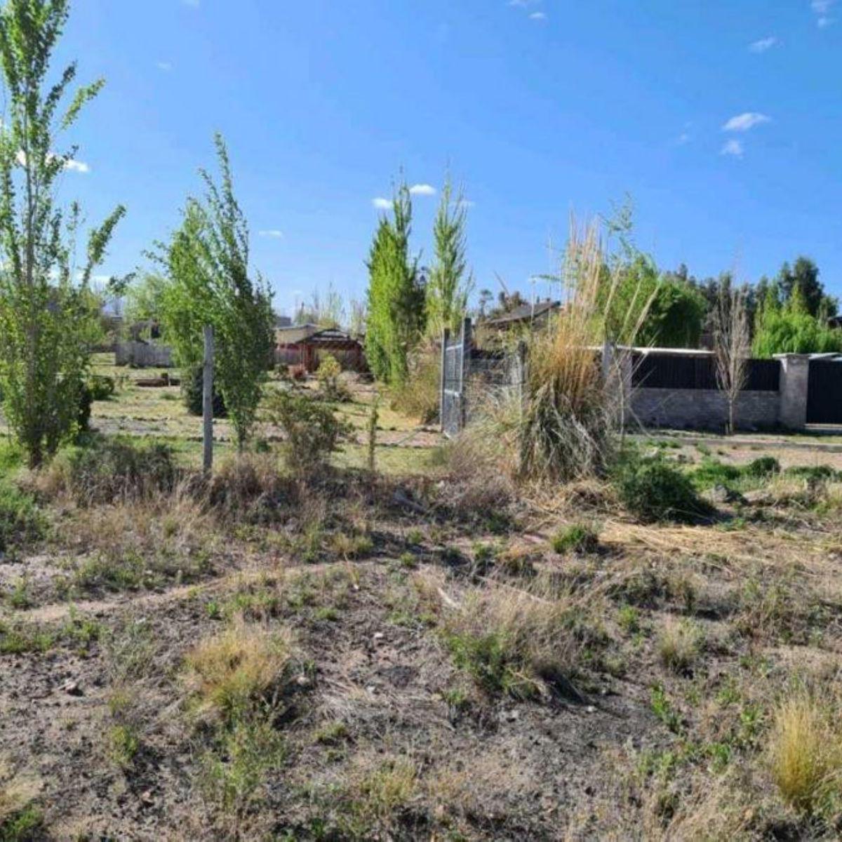 Terreno - Lujan de Cuyo 2