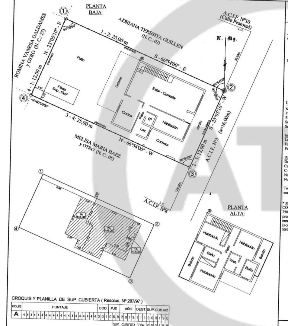 Plano 1