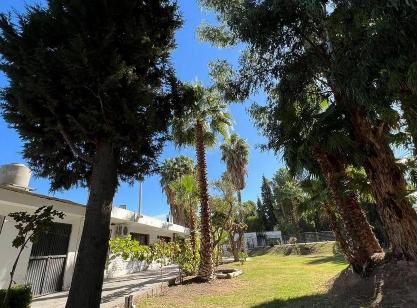 Complejo de 3 casas más salón comercial en venta - Guaymallén 1