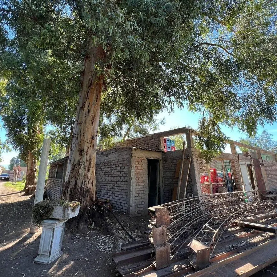 Complejo de 3 casas más salón comercial en venta - Guaymallén 8