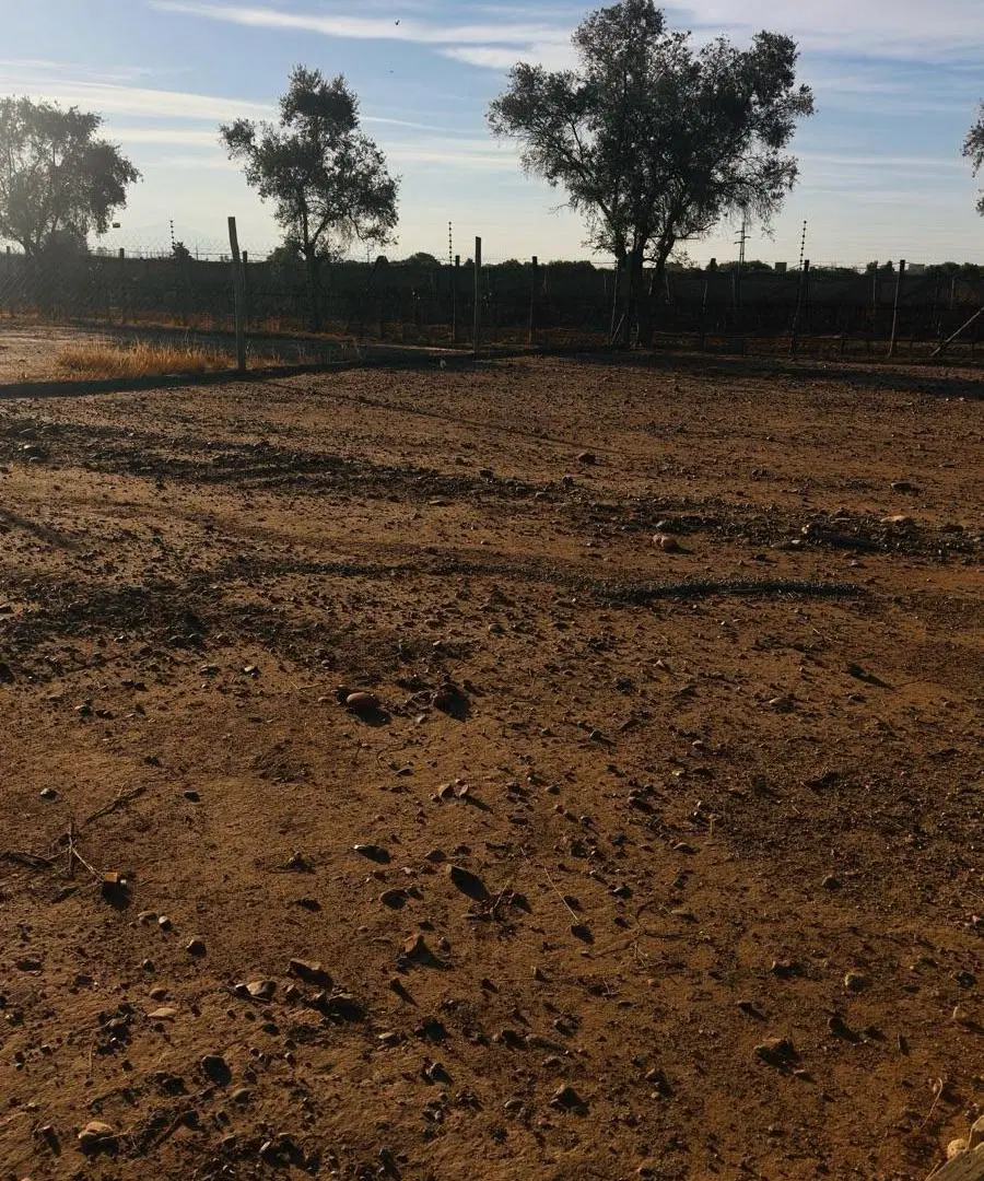 Terreno - Mayor Drummond 3