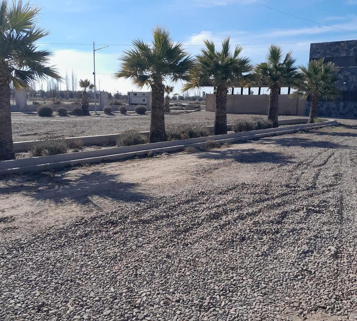 Foto de Terreno en Calle Terrada, imagen 4