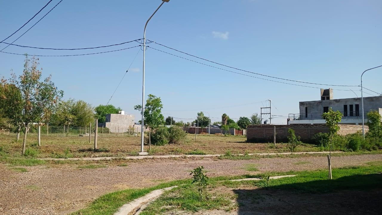 Foto de Terreno en Rodeo De La Cruz, imagen 2