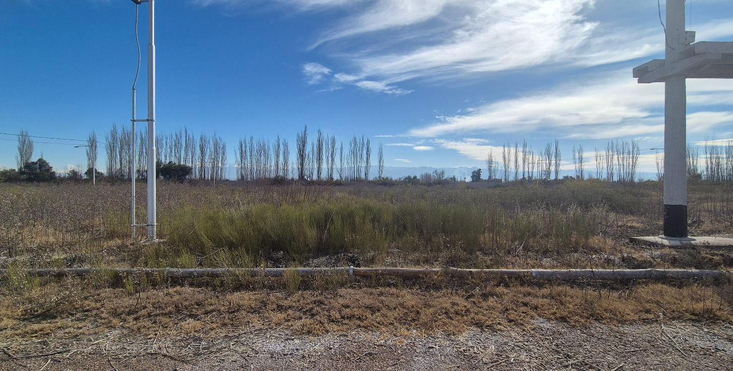 Foto de Terreno - Los Corralitos, imagen 3