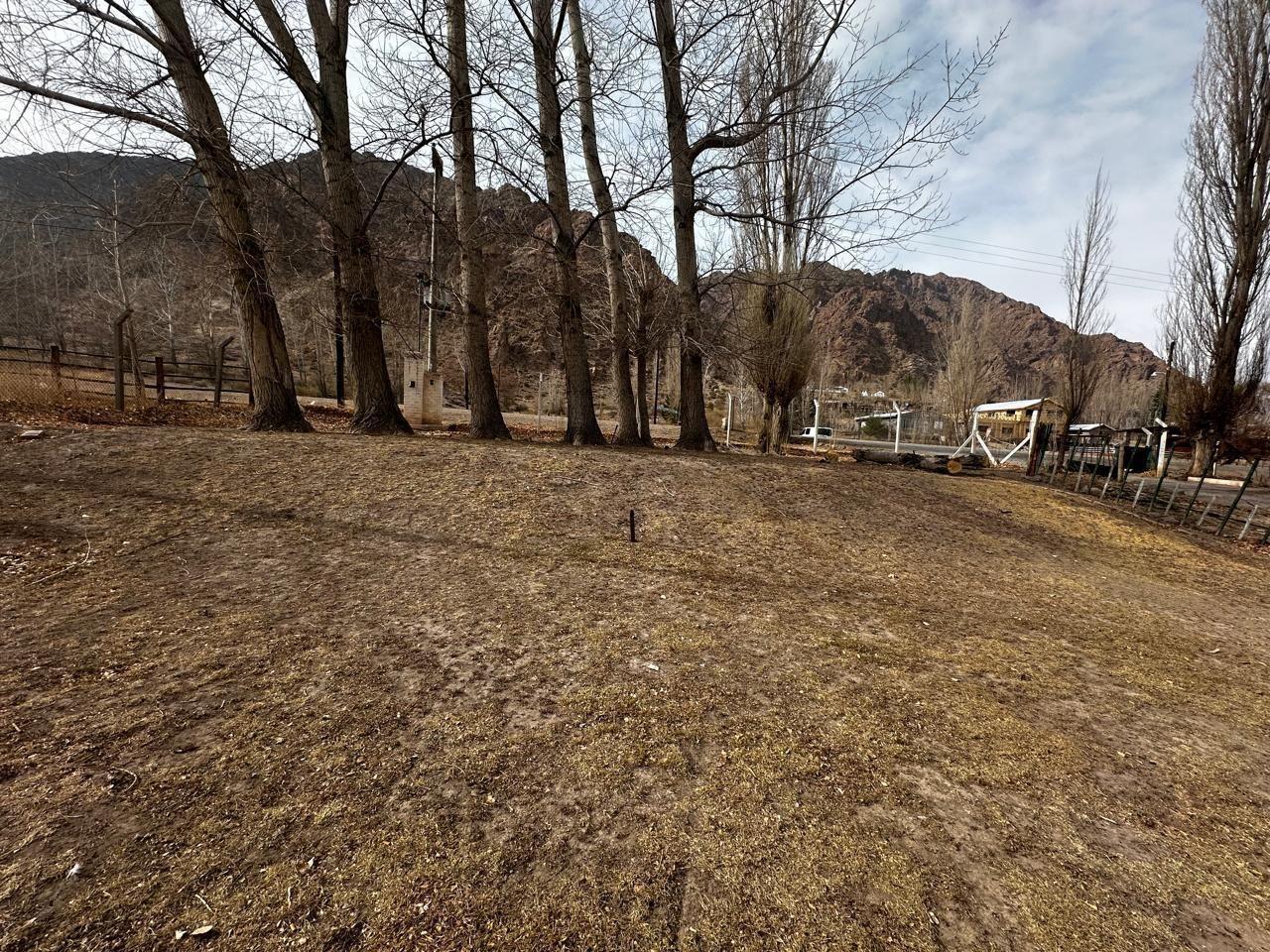 Foto de Terreno, casa, mas salón comercial en venta, Uspallata, R7, imagen 5