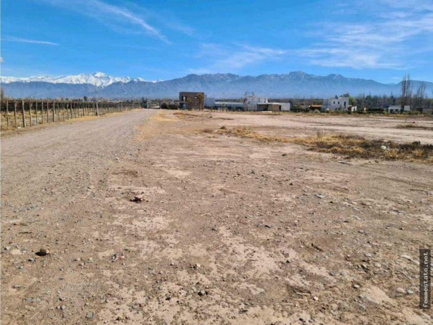 Foto de Terreno - Lujan De Cuyo, imagen 2