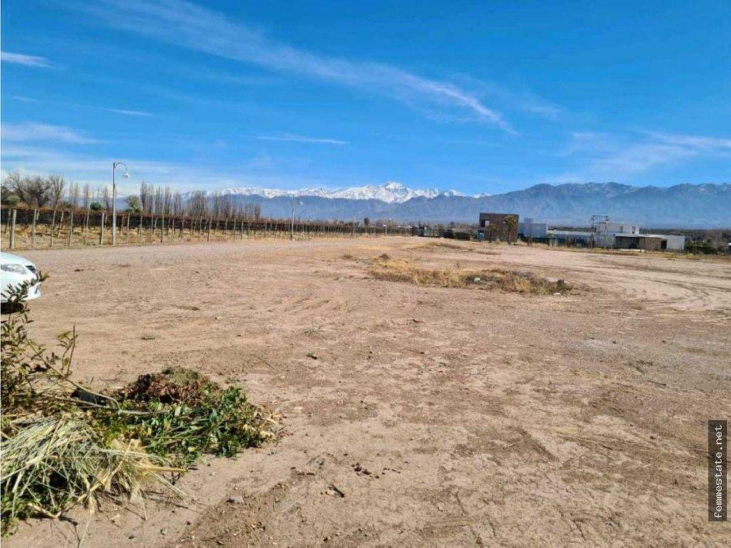 Foto de Terreno - Lujan De Cuyo, imagen 1