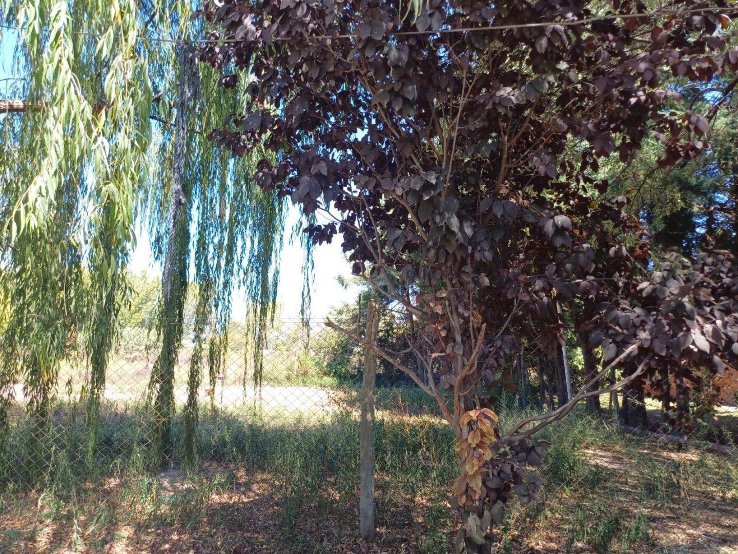 Foto de Terreno en VENTA, imagen 1