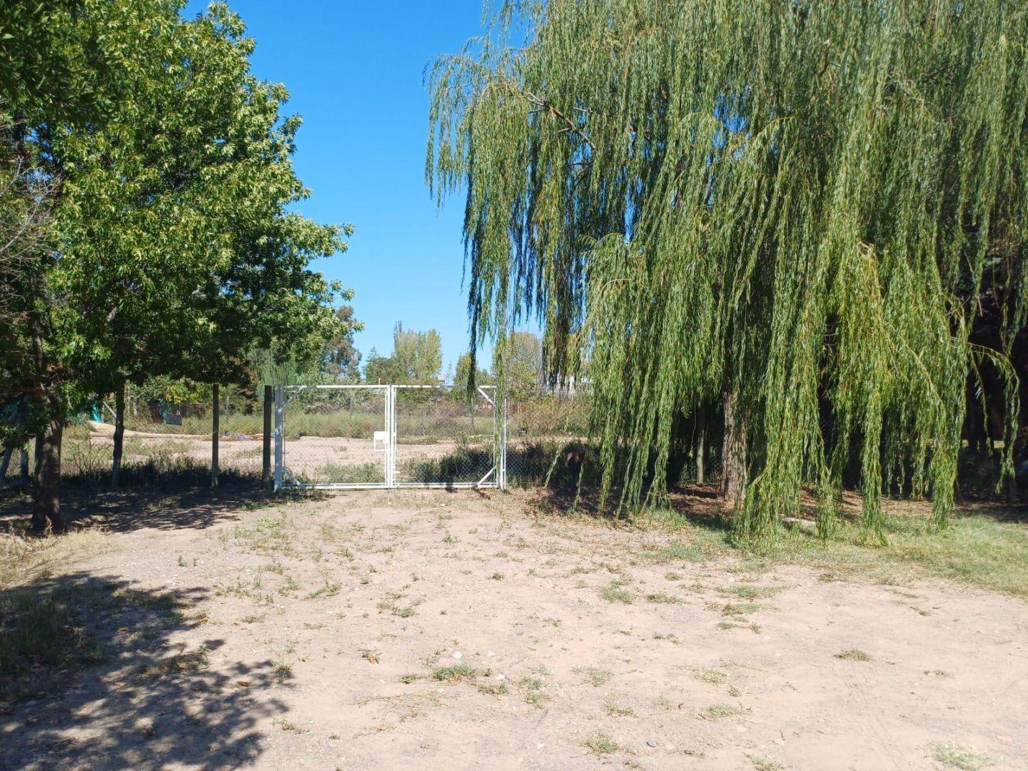 Foto de Terreno en VENTA, imagen 2