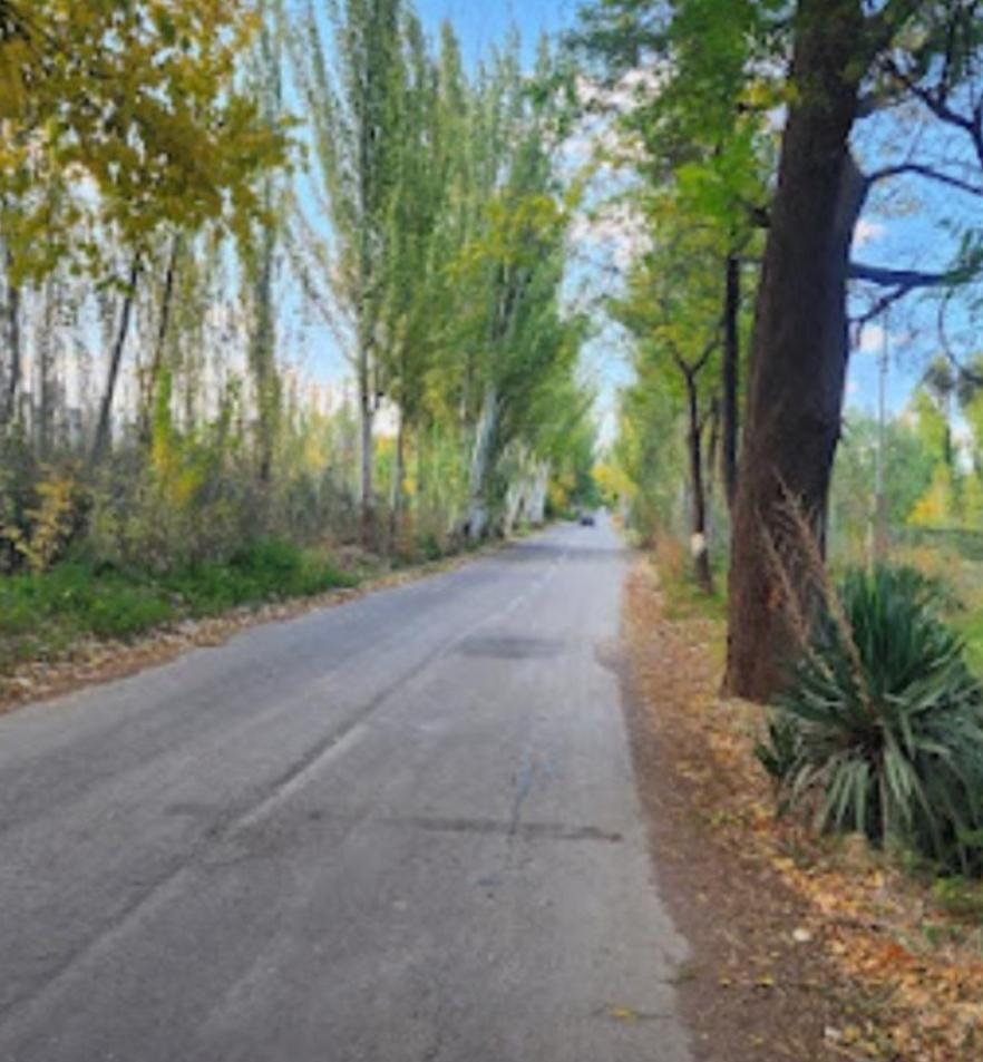 Foto de Terreno en VENTA, imagen 3