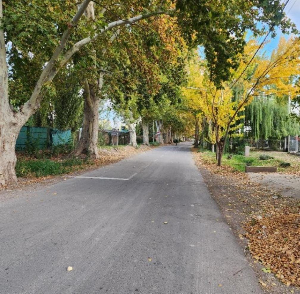 Foto de Terreno en VENTA, imagen 4