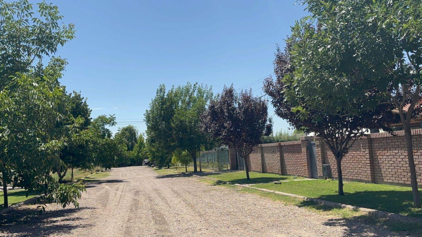 Foto de Terreno - Chacras De Coria, imagen 3