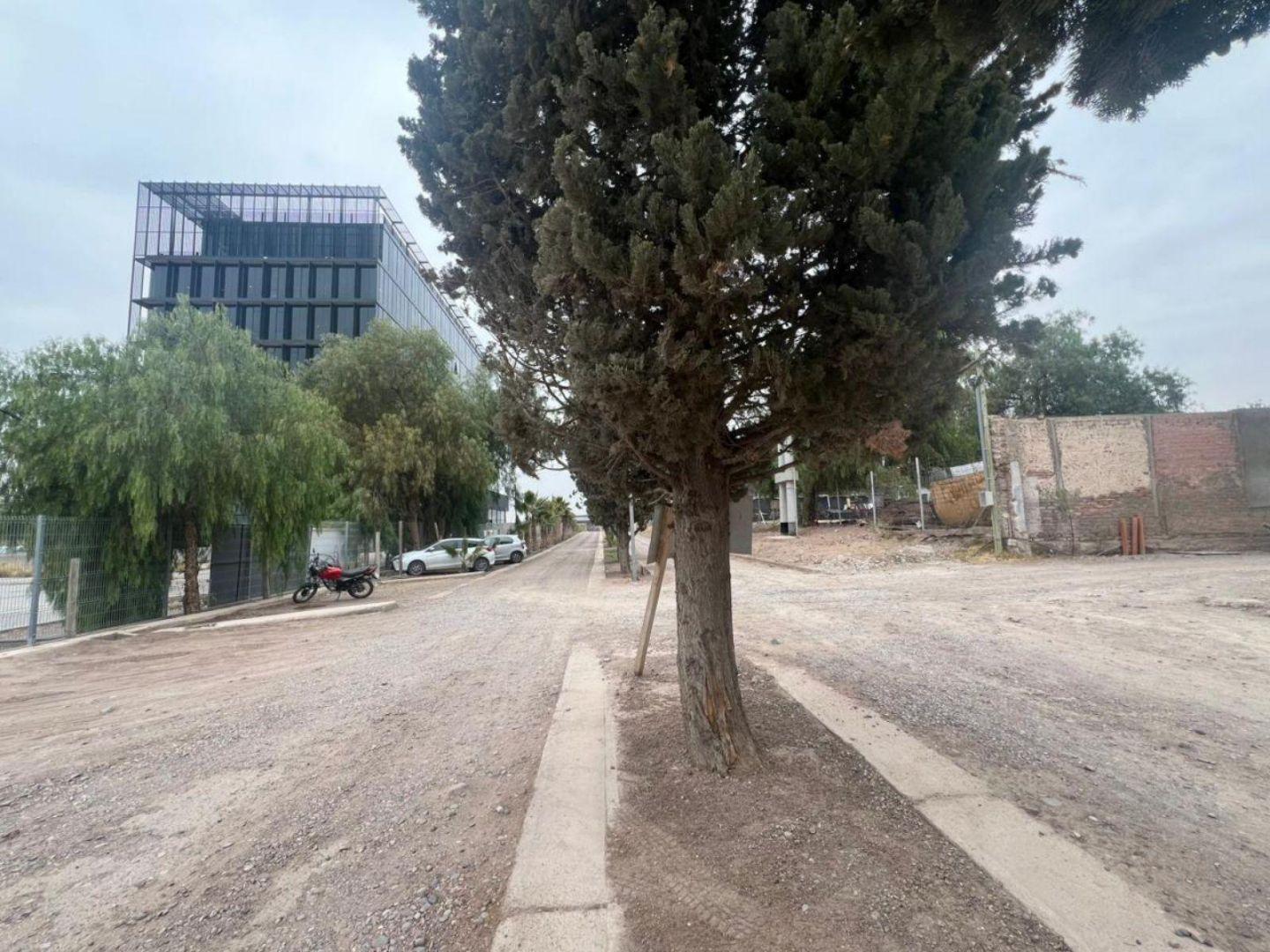 Foto de Oficina - Lujan De Cuyo, imagen 2