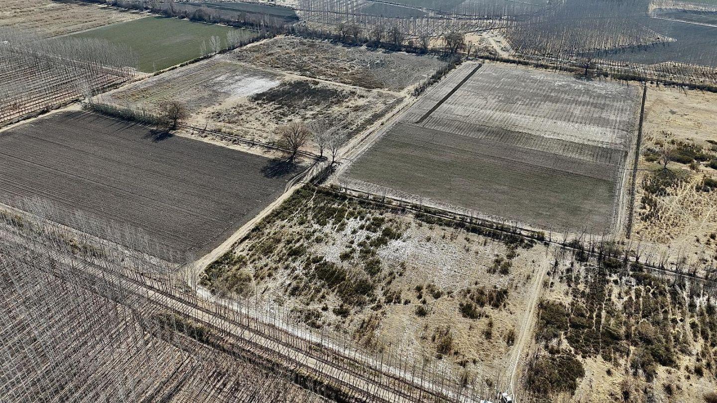 Foto de Oportunidad Finca de 20 ha en San Carlos, zona productiva, derecho de, imagen 2