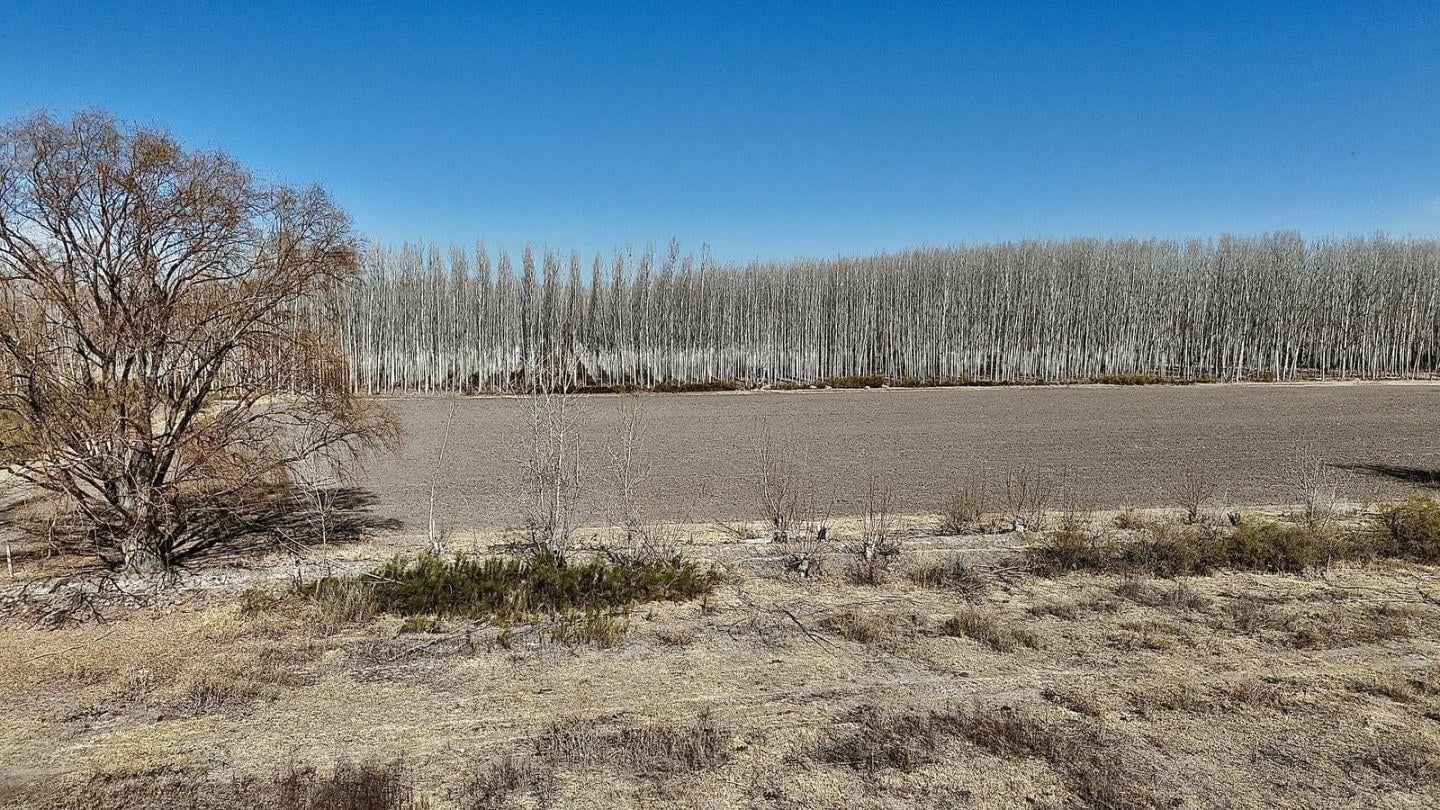 Foto de Oportunidad Finca de 20 ha en San Carlos, zona productiva, derecho de, imagen 1