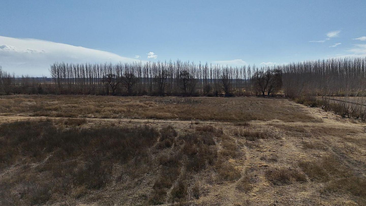 Foto de Oportunidad Finca de 20 ha en San Carlos, zona productiva, derecho de, imagen 3